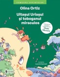 Uitașul Uriașul și toboganul miraculos - Olina Ortiz