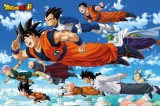 Cumpara ieftin Poster - Dragon Ball Z - Super Flying | GB Eye