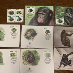zaire (congo) - cimpanzeu - serie 4 timbre MNH, 4 FDC, 4 maxime, fauna wwf
