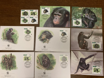 zaire (congo) - cimpanzeu - serie 4 timbre MNH, 4 FDC, 4 maxime, fauna wwf foto