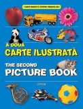 A doua carte ilustrată - The second picture book