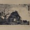 MIRCEA OLARIAN (1898 - 1985) - CARCIUMA DELA PAUNESTI