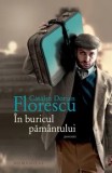 Cumpara ieftin In buricul pamantului/Catalin Dorian Florescu