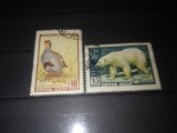 TIMBRE URSS 1957 FAUNA, Nestampilat