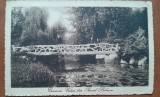 Carte postala, Craiova, vedere din Parcul Bibescu, perioada interbelica