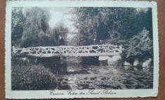 Carte postala, Craiova, vedere din Parcul Bibescu, perioada interbelica