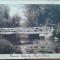 Carte postala, Craiova, vedere din Parcul Bibescu, perioada interbelica