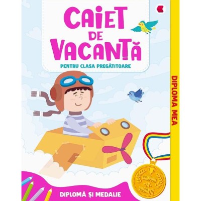 Caiet de vacanta - Clasa pregatitoare - Aurelia Seulean, Marioara Minculescu, Elena Oltean foto