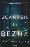 Cumpara ieftin Scanteie in bezna de Stacy Willingham (2023) - Roman Politist Thriller Nemira, Colectia Armada, 386 pagini, Brosata