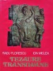 Tezaure Transilvane, Radu Florescu &amp; Ion Miclea, 1979, 103 pagini, Album Arta, Coperta Cartonata, 24x33cm