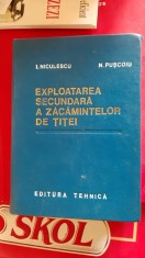 EXPLOATAREA SECUNDARA A ZACAMINTELOR DE TITEI -- I. NICULESCU, N. PUSCOIU foto