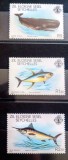 Seychelles 1980 pești, fauna marina serie 3v neștampilată