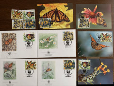 mexic - fluturi - serie 4 timbre MNH, 4 FDC, 4 maxime, fauna wwf foto