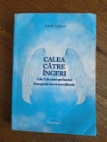 Calea catre ingeri - Isabelle Padovani, 2014 / R4P5S