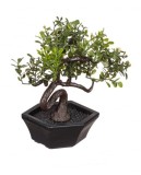 Bonsai decorativ artificial in ghiveci, 11 cm