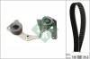 INA 530 0096 10 Set curea de distributie