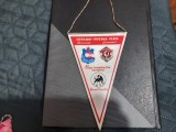 Fanion Dinamo - Liverpool