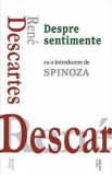 Despre sentimente - Rene Descartes