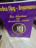 UN BLESTEM CU DOMICILIUL STABIL - RODICA OJOG BRASOVEANU