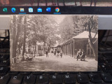 Salutare din Baia Zizini Zizin, Parcul și Izvorul Ferdinand, circa 1930, 205