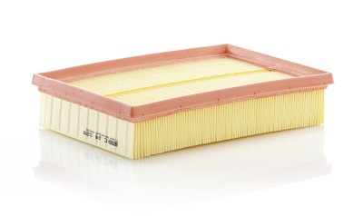 MANN-FILTER C 24 028 Filtru aer foto