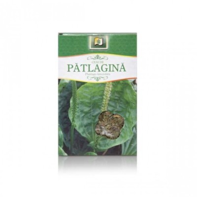 Ceai patlagina frunze 50gr stefmar foto