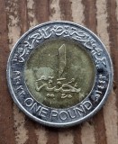 Moneda 1 lira Egipt 2022