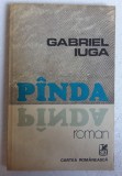 (C481) GABRIEL IUGA - PANDA