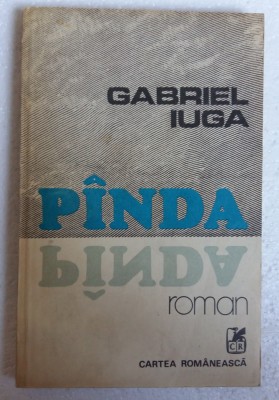 (C481) GABRIEL IUGA - PANDA foto