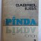 (C481) GABRIEL IUGA - PANDA