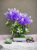 Copacel decorativ model astilbe mov, Oem