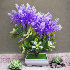 Copacel decorativ model astilbe mov