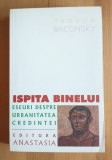 Teodor Baconsky - Ispita binelui: eseuri despre urbanitatea credin&Aring;&pound;ei