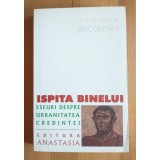 Teodor Baconsky - Ispita binelui: eseuri despre urbanitatea credin&Aring;&pound;ei