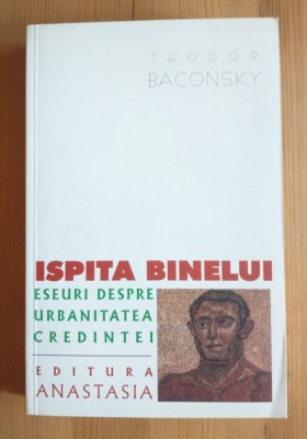 Teodor Baconsky - Ispita binelui: eseuri despre urbanitatea credin&amp;Aring;&amp;pound;ei foto