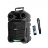 Boxa Portabila 50W, Difuzor 20cm (8 inch), Bluetooth, USB, Microfon Wireless, Telecomanda, Lumini LED