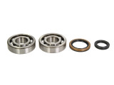 Cumpara ieftin Lagare cu arbore cotit set cu garnituri pentru SUZUKI RM-X 250 1995-1999