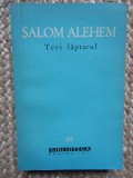 TEVI LAPTARUL-SALOM ALEHEM, Didactica si Pedagogica