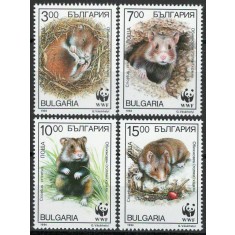 Bulgaria 1994 Mi 4124/27 MNH - WWF: Hamsterul European 27-3