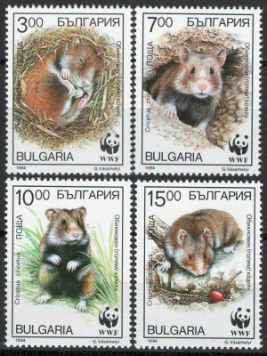 Bulgaria 1994 Mi 4124/27 MNH - WWF: Hamsterul European 27-3 foto