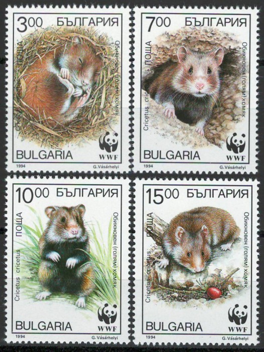 Bulgaria 1994 Mi 4124/27 MNH - WWF: Hamsterul European 27-3