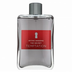 Antonio Banderas The Secret Temptation Eau de Toilette barba?i 200 ml foto