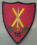 Y 1617 EMBLEMA- MILITARA -BATALIONUL 300 INFANTERIE -PENTRU COLECTIONARI