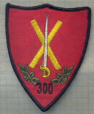 Y 1617 EMBLEMA- MILITARA -BATALIONUL 300 INFANTERIE -PENTRU COLECTIONARI foto