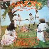 Vinil Savoy - Haiducul