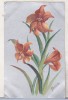 Bnk cp Anglia - Felicitare intrebelica necirculata - flori, Printata