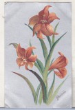 bnk cp Anglia - Felicitare intrebelica necirculata - flori