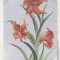 bnk cp Anglia - Felicitare intrebelica necirculata - flori