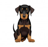 Sticker decorativ Doberman, Negru, 85 cm, 5573ST