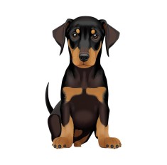 Sticker decorativ Doberman, Negru, 85 cm, 5573ST foto